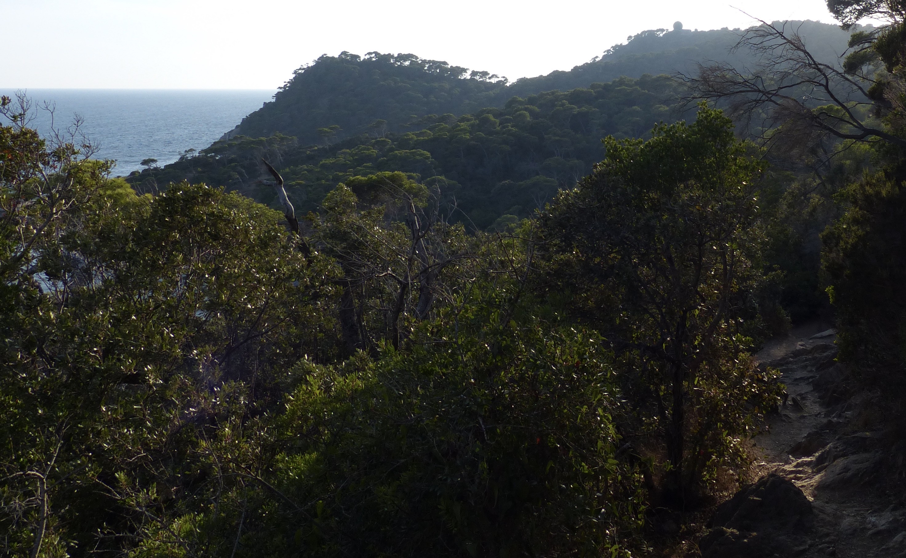 Presqu'île de Giens sur Sentier Littoral 4