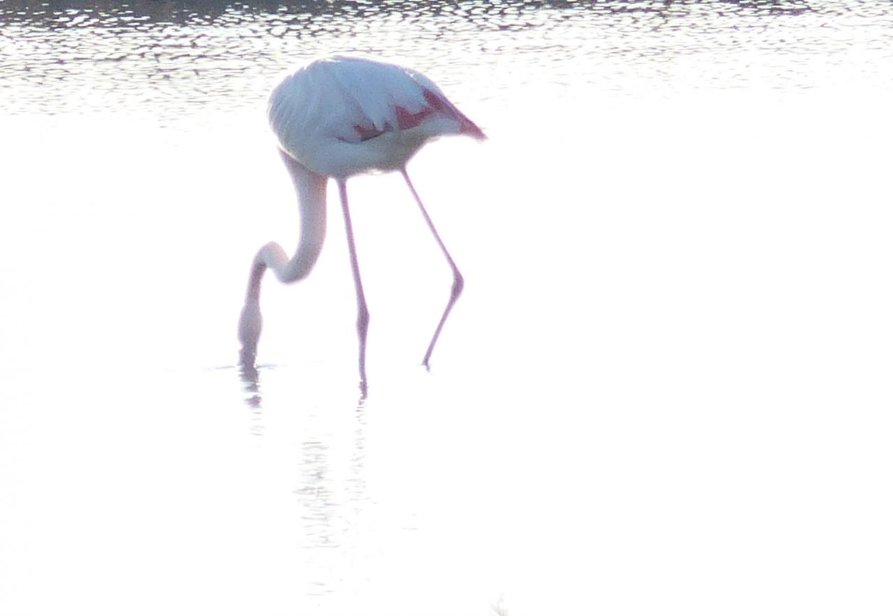 Kopf im Wasser 