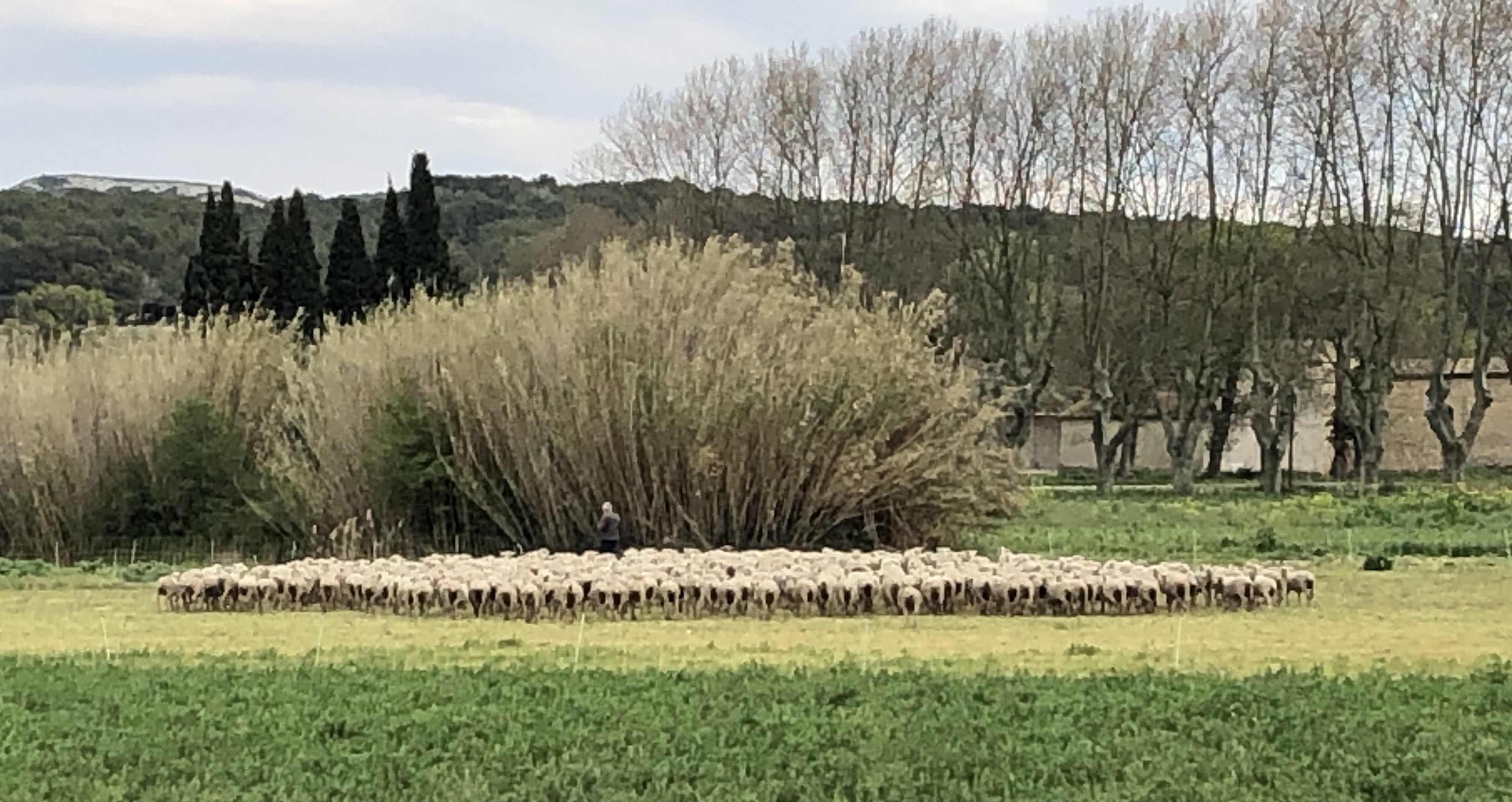 Just around the bend ... 1-hour-walk April 2020