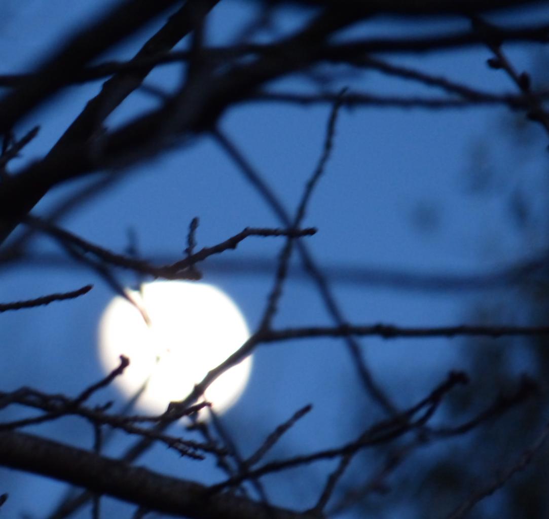 La lune de ce jour - Der Mond heute