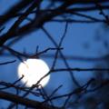 La lune de ce jour - Der Mond heute