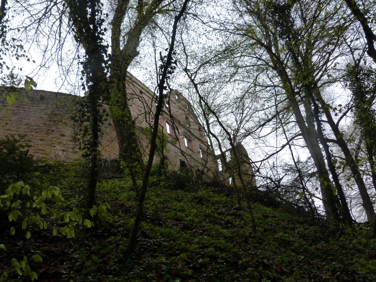 Burg Zavelstein