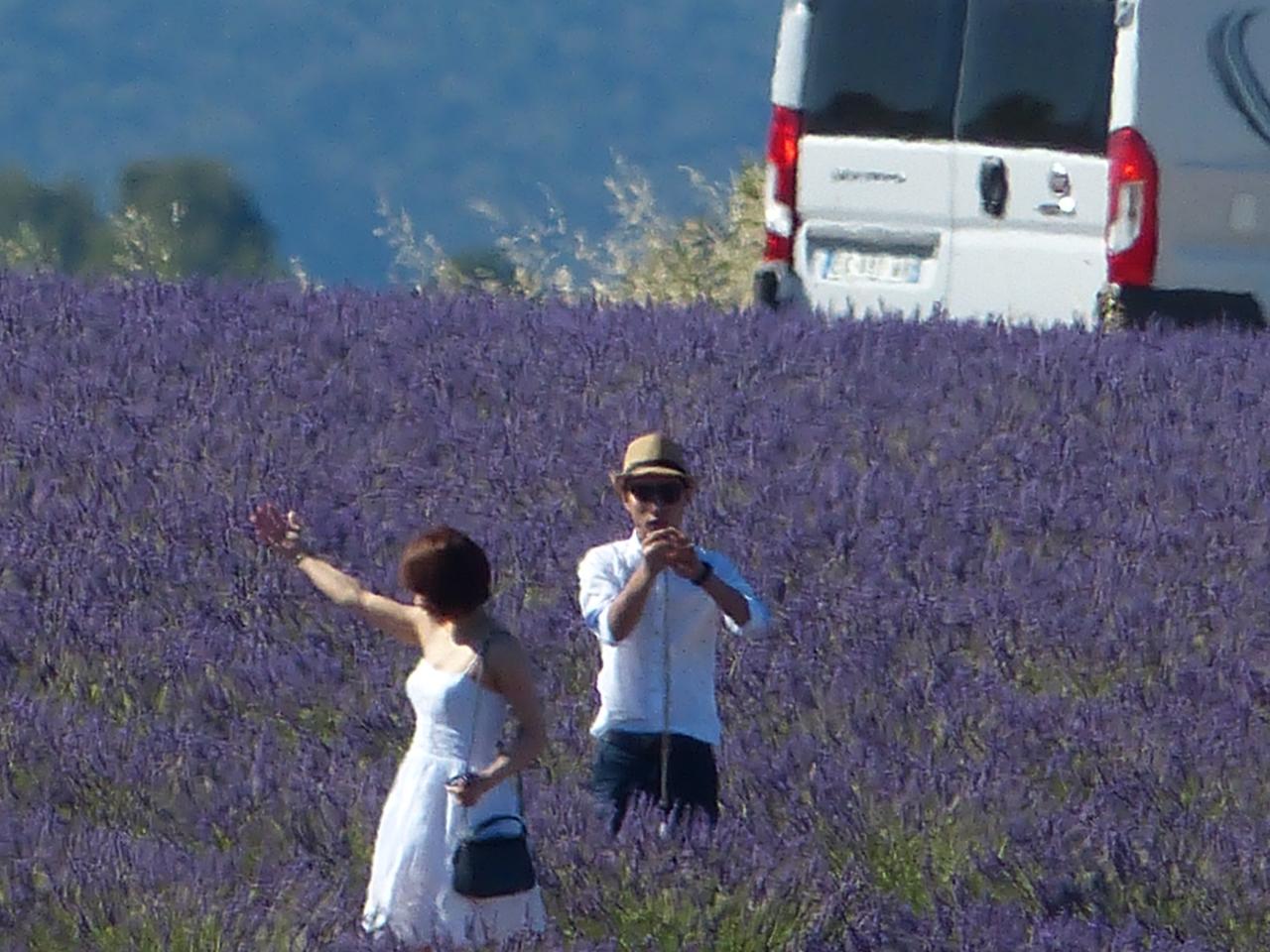 Asia in Provence