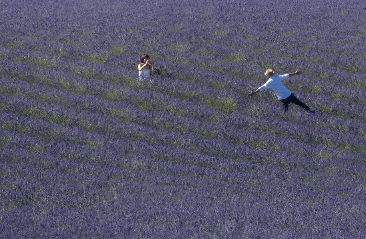 Lavender kicks you off your shoes !