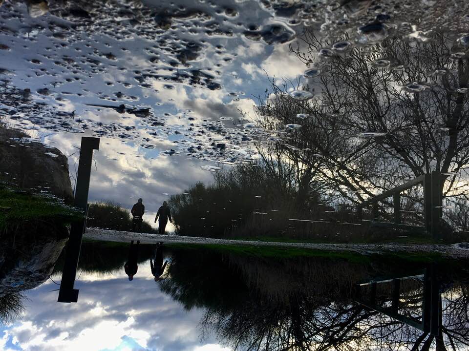 After the rain