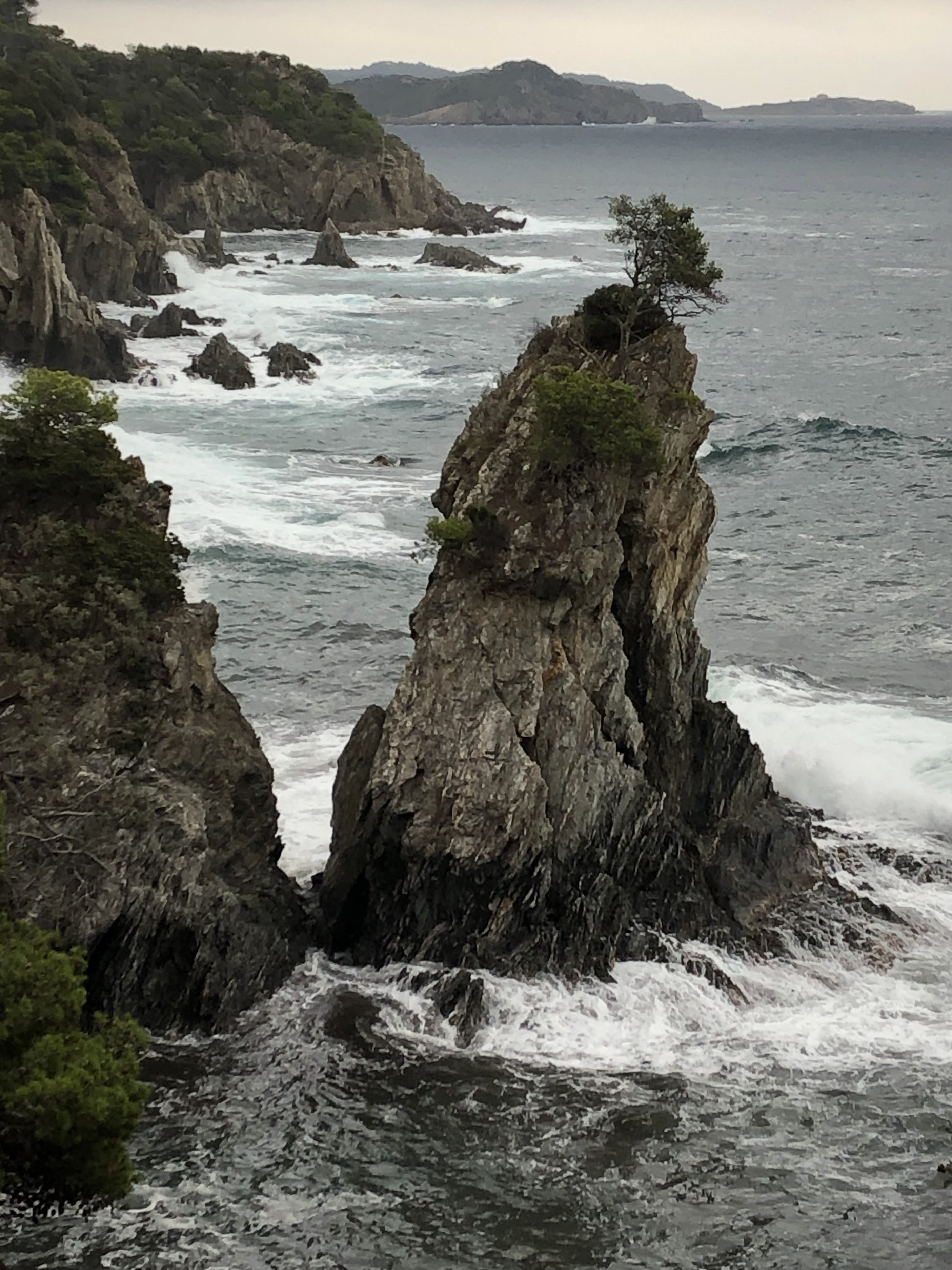 Presqu'île de Giens sur Sentier Littoral