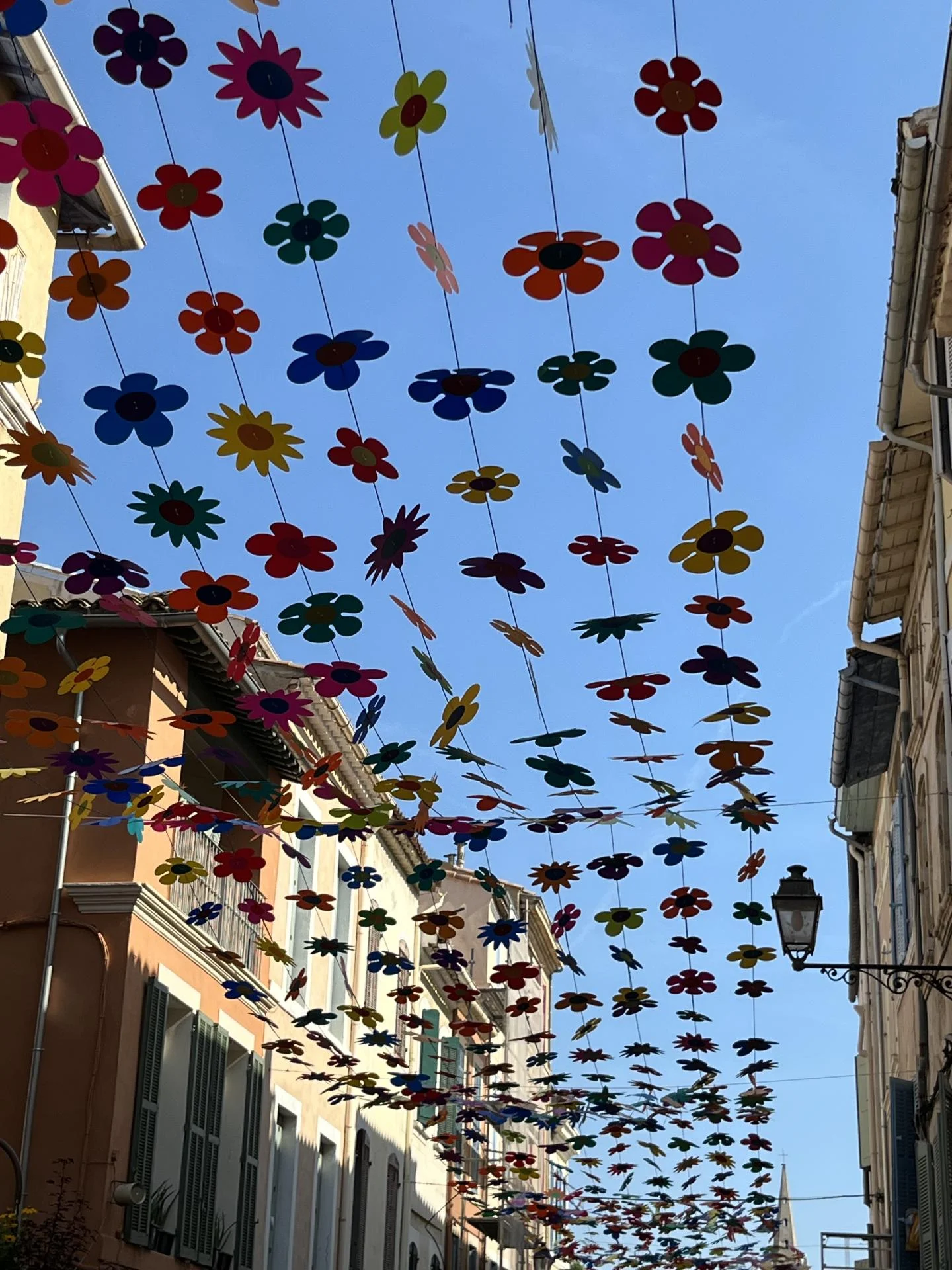 FLOWER SKY