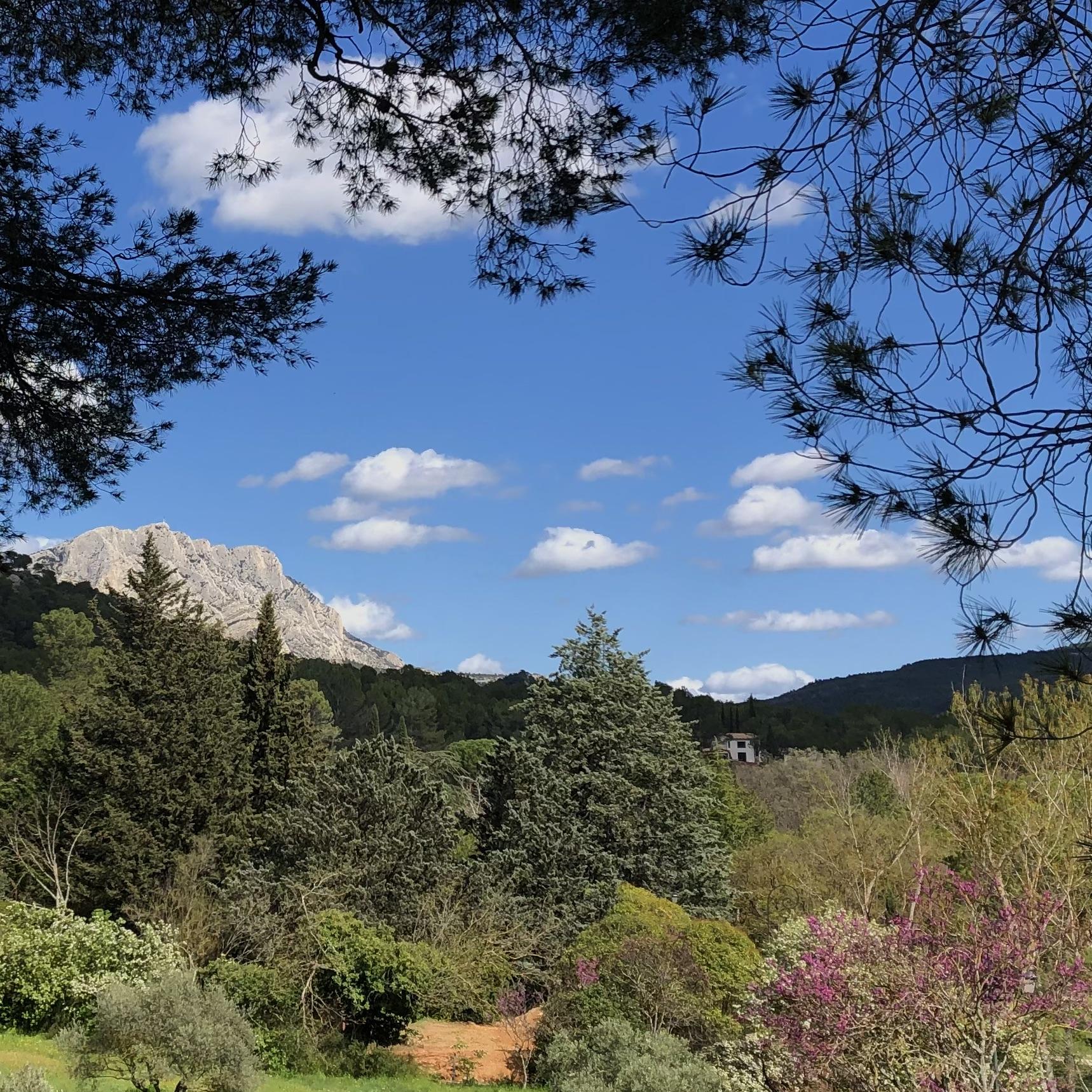 Vue St Victoire