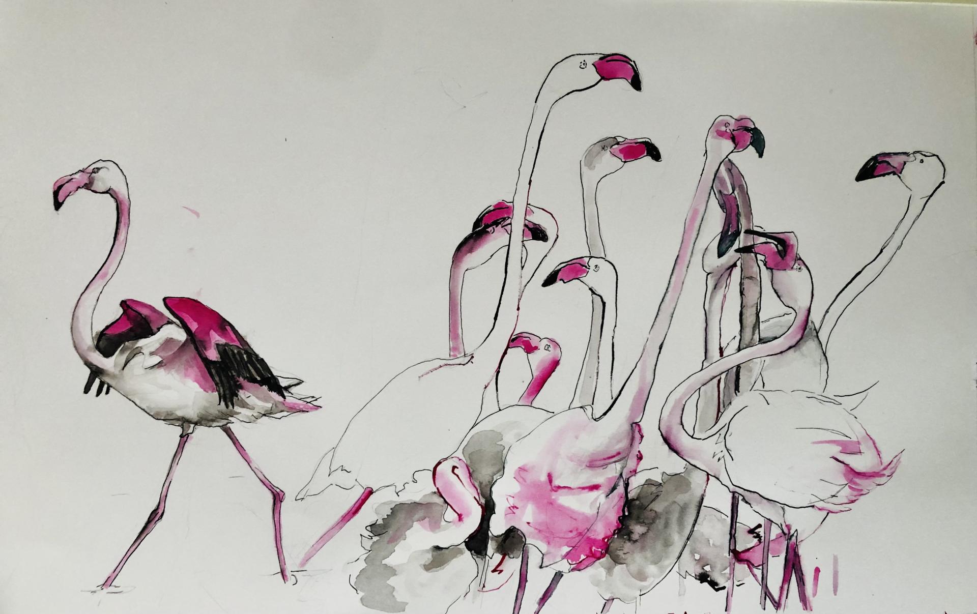 FLAMANTS ENCRE DETAILS