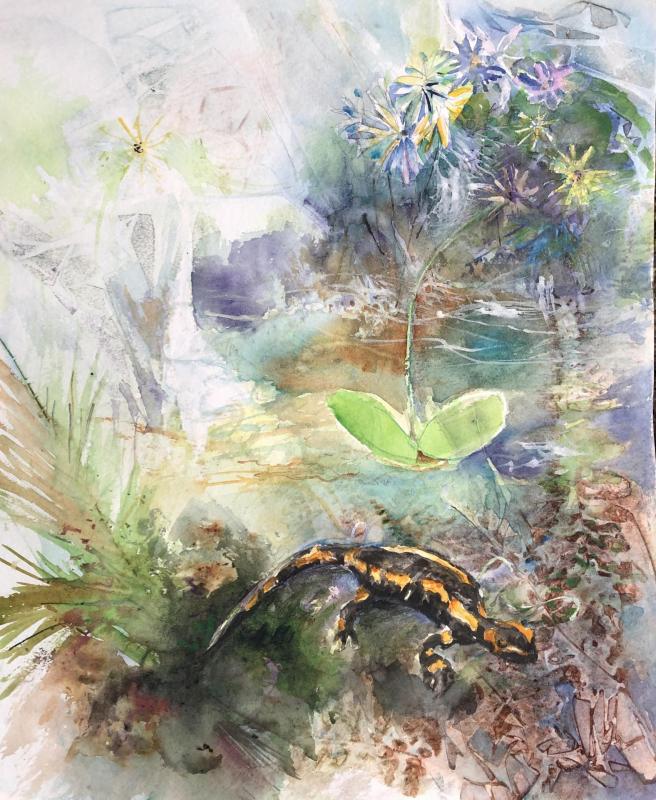 DER FEUERSALAMANDER VON BENJAMIN WALDMANN